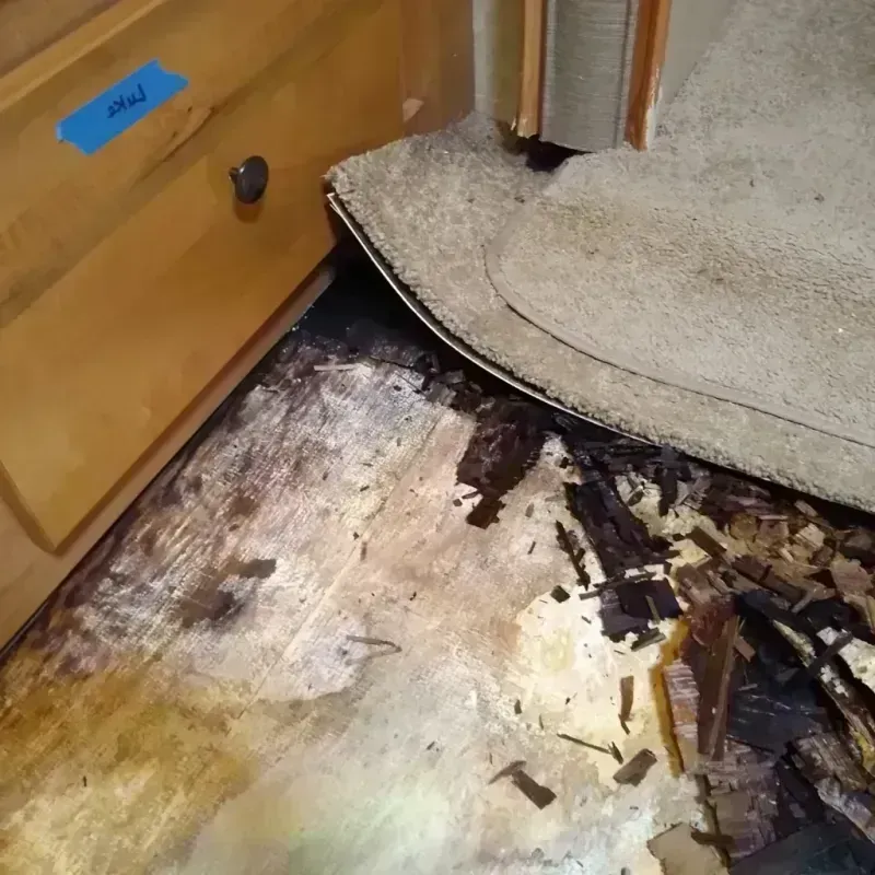 Wood Floor Water Damage in Ashley County, AR